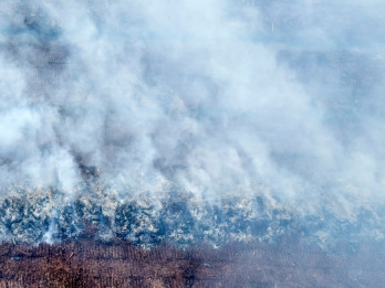 Kabut Asap, Wali Kota Pekanbaru Minta Siswa Gunakan Masker ke Sekolah
