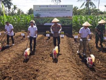 Ketahanan Pangan Nasional: Kolaborasi Lintas Sektor Tingkatkan Produksi Jagung di Sumbar