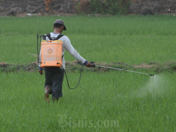 Sumedang Dorong Investasi Pertanian Organik Sirkular Senilai Rp139 Miliar