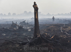 Kebakaran Hutan dan Lahan Hanguskan 270 Hektare Lahan di Jambi