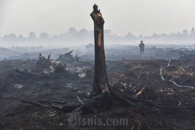 Kebakaran Hutan dan Lahan Hanguskan 270 Hektare Lahan di Jambi
