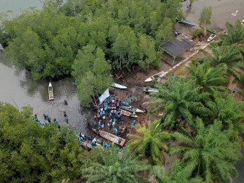 Pengembangan Kawasan Wisata Mangrove