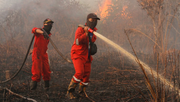 Penanganan Karhutla di Riau Berhasil, Jumlah Hotspot Bersisa 56 Titik