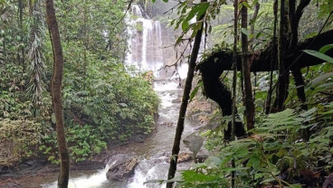 Mangkrak 15 Tahun, PLN Lanjutkan Pembangunan PLTM 1,2 MW Wabudori Papua