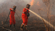 Puncak Kemarau Jatuh pada Agustus, Waspada Karhutla Meluas di Sumatra dan Kalimantan
