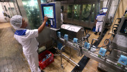 Adu Kinerja Produsen Susu Cimory (CMRY) Vs Ultrajaya (ULTJ) 5 Tahun Terakhir