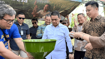 Bank Mandiri Perkuat Ekonomi Desa Melalui Budidaya Sorgum di Bogor