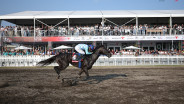 King Argentin Menangi Triple Crown di Indonesia Derby 2025