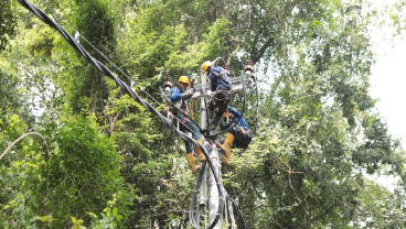 PLN Alirkan Listrik Pertama di Kawasan Konservasi Bandealit