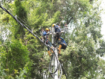 PLN Alirkan Listrik Pertama di Kawasan Konservasi Bandealit