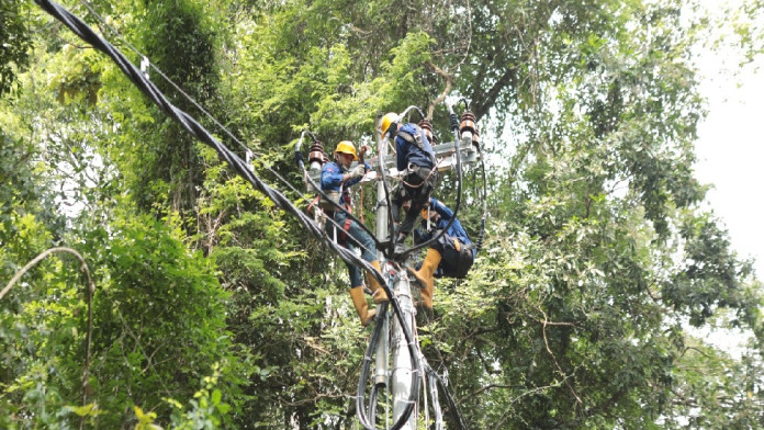 PLN Alirkan Listrik Pertama di Kawasan Konservasi Bandealit