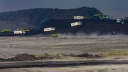 Bukit Asam (PTBA) Cetak Laba Bersih Rp833 Miliar Semester I/2025