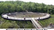 Berjibaku Menjaga Ekosistem Mangrove dan Ketahanan Kawasan Pesisir