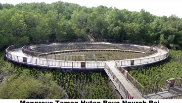 Berjibaku Menjaga Ekosistem Mangrove dan Ketahanan Kawasan Pesisir