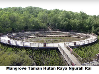 Berjibaku Menjaga Ekosistem Mangrove dan Ketahanan Kawasan Pesisir