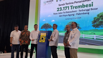 Upayakan Penurunan Emisi Karbon, BLDF Tanam Trembesi di Tol Trans Sumatra
