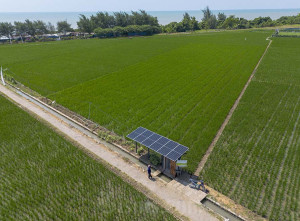 Pemerintah Kembangkan PLTS Pedesaan Untuk Percepatan Swasembada Energi