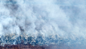 Dekat Perbatasan Malaysia, Kemenhut Segel Dua Konsesi Kebakaran Hutan