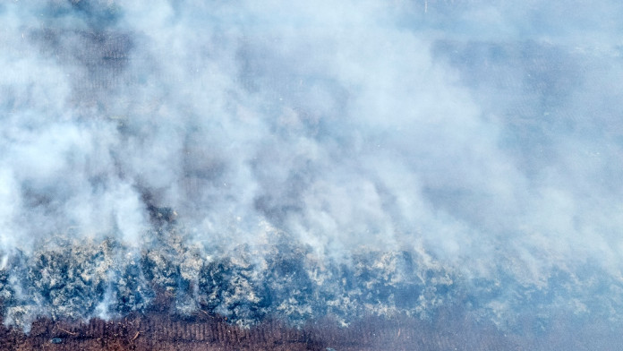 Dekat Perbatasan Malaysia, Kemenhut Segel Dua Konsesi Kebakaran Hutan