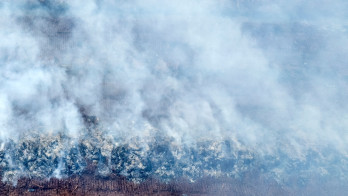 Dekat Perbatasan Malaysia, Kemenhut Segel Dua Konsesi Kebakaran Hutan