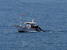 Tangkapan Ikan Nelayan Merosot, KKP: Potensi Laut Jawa Menurun