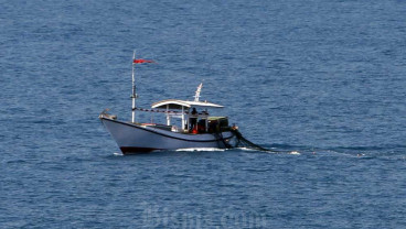Tangkapan Ikan Nelayan Merosot, KKP: Potensi Laut Jawa Menurun