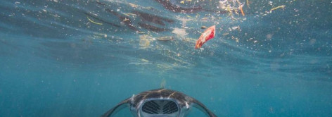 Perjanjian Plastik Global dan Kesiapan Proposal Indonesia