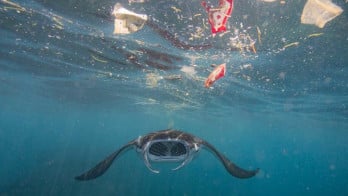 Perjanjian Plastik Global dan Kesiapan Proposal Indonesia