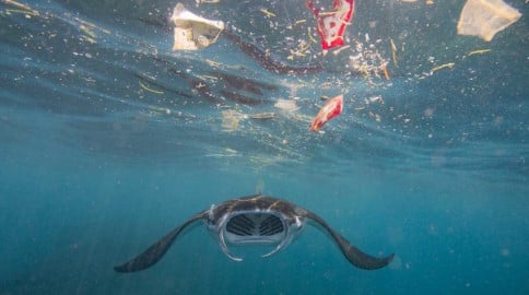 Perjanjian Plastik Global dan Kesiapan Proposal Indonesia