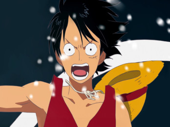 Tudingan Pecah Belah Bangsa di Balik Pengibaran Bendera One Piece
