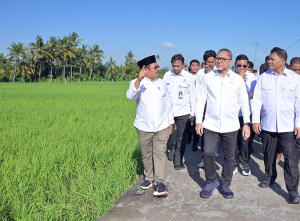Menteri Koordinator Bidang Pangan Zulkifli Hasan Lakukan Sosialisasi Kopdes Merah Putih di Lombok