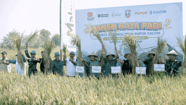 Dukung Ketahanan Pangan, Pupuk Kaltim Panen Raya Padi Agrosolution di Jombang