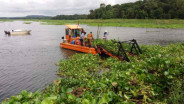 Jadi Suplai Air, BP Batam Segerakan Pembersihan Eceng Gondok di Waduk Duriangkang