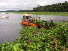 Jadi Suplai Air, BP Batam Segerakan Pembersihan Eceng Gondok di Waduk Duriangkang