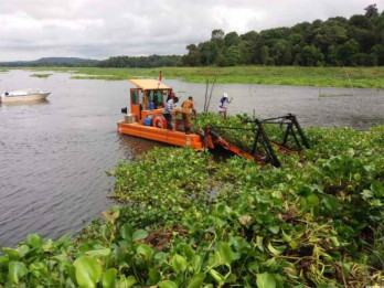 Jadi Suplai Air, BP Batam Segerakan Pembersihan Eceng Gondok di Waduk Duriangkang