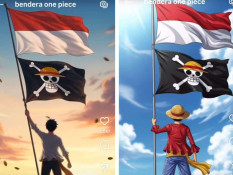Komisi XIII DPR: Bendera One Piece di Bawah Merah Putih Bukan Pelecehan Simbol Negara