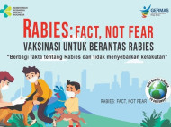 Cakaran Kucing bisa Sebabkan Rabies, Kenali Gejala dan Cara Menanganinya kata Dokter
