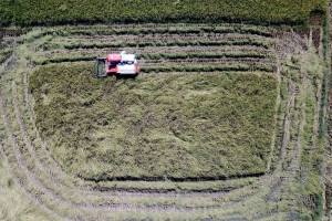 Nilai Tukar Petani (NTP) Gabungan Provinsi Sulawesi Selatan Menurun