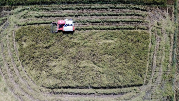 Nilai Tukar Petani (NTP) Gabungan Provinsi Sulawesi Selatan Menurun