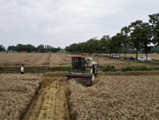 Lumbung Pangan Hadapi Kekeringan, Pemerintah China Gelontorkan Rp301,38 Miliar