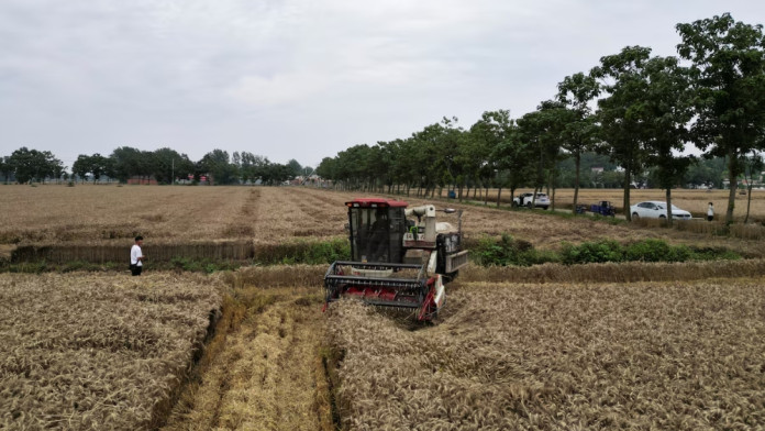 Lumbung Pangan Hadapi Kekeringan, Pemerintah China Gelontorkan Rp301,38 Miliar