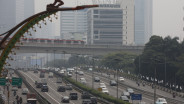 PDB Tumbuh 5,12% Kuartal II/2025, Lebih dari Separo Emiten Cetak Kinerja Gemilang