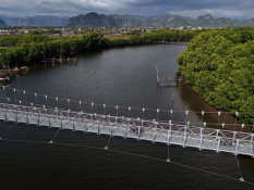 Target Pembangunan Jembatan Gantung Tahun 2026