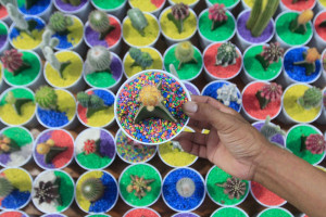 Pameran Produk UMKM Flora dan Fauna