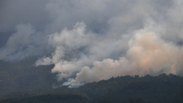 Provinsi Kaltim Diminta Waspada dan Tetapkan Status Darurat Karhutla