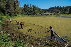 Pemulihan Ekosistem Danau Ranu Pani