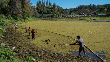 Pemulihan Ekosistem Danau Ranu Pani