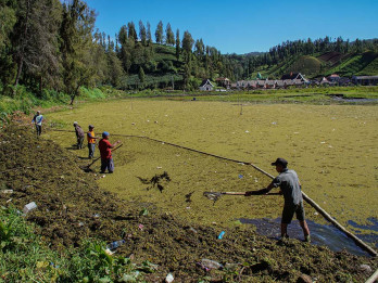 Pemulihan Ekosistem Danau Ranu Pani