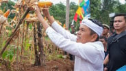 Garut Mau Hilirisasi Jagung, Tapi Pabriknya Masih Impian