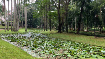 Ini Alasan Gubernur Pramono Kekeuh Integrasi 3 Taman Ikonik di Jaksel